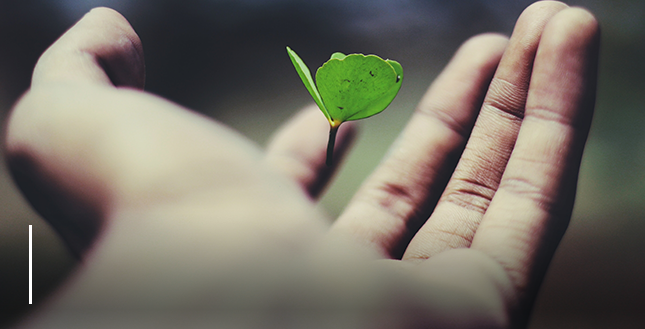 我们不仅做检测，更要做“信任的桥梁”